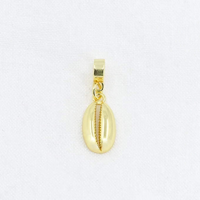 COWRIE SHELL